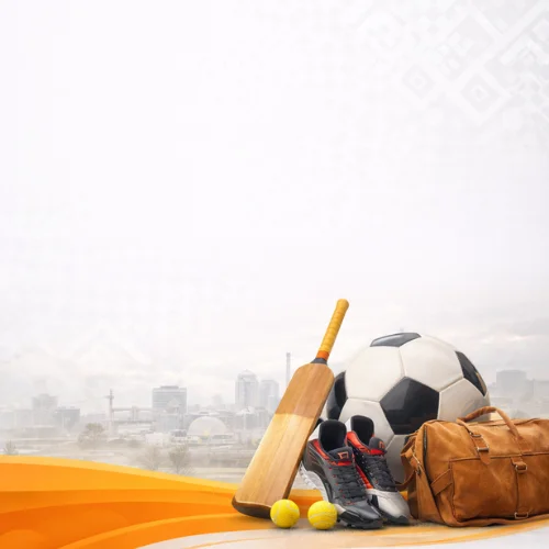 Sialkot sportswear sewing machine lordi